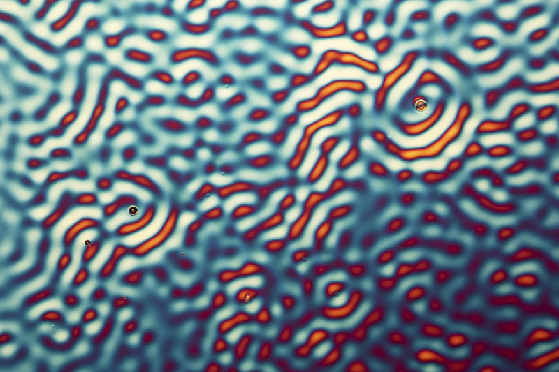 AGES Forschungseinblicke / APAScience